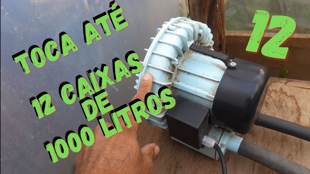 Turbina de Ar da CHINA,  vale muito a Pena ! Criação em caixas fica top !