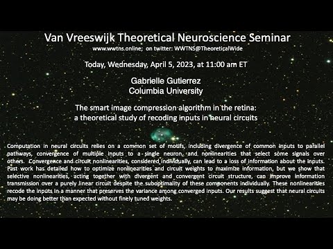 The smart image compression algorithm in the retina: a theoretical study of recoding inputs in neural circuits recording thumbnail