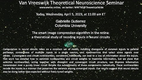 The smart image compression algorithm in the retina....| Gabrielle Gutierrez Columbia University