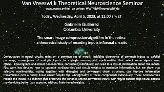 The smart image compression algorithm in the retina....| Gabrielle Gutierrez Columbia University
