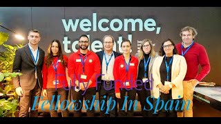 How To Apply For Wit Fellowship Program In Spain University Of Navarre Fully Funded