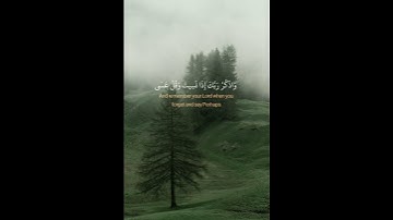 ولا تقولن لشيئ إني فاعل ذلك غدا إلا أن يشاء الله 🤲 #قرآن | #سورة_الكهف | #فارس_عباد 🖤🎧