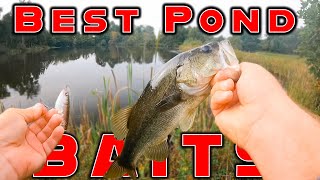 The Best Baits For Summer Pond Fishing! ( And Bank Fishing )