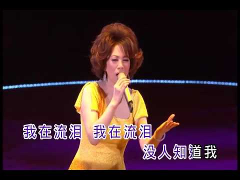 意難忘 karaoke