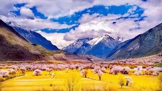 Ömer Akdaş Presente Dj Val Party To The Sunlight Eurodance 2021