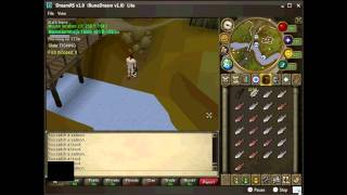 RuneDream - Showing Off Some New Scripts
