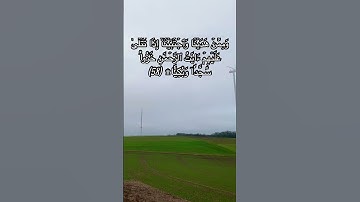 الشيخ ماهر المعيقلي سورة مريم #القرآن_الكريم