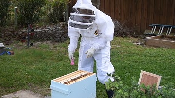 First inspection after swarm capture