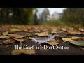 The Grief We Don’t Notice: Climate Loss, Death, Dying, Anxiety, and Carrying the Emotional Weight