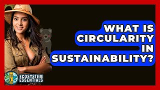 Famous What Is Circularity In Sustainability? - Ecosystem Essentials Wealth