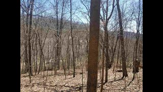 Lots And Land for sale - L7 Strang Hollow Rd, Bear Creek, WI 53556