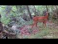 Petite ballade dans le p'tit bois du Secteur LB