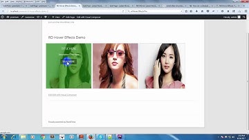 RD Hover Effects Wordpress plugin  Video Tutorial