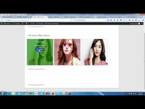 RD Hover Effects Wordpress plugin  Video Tutorial