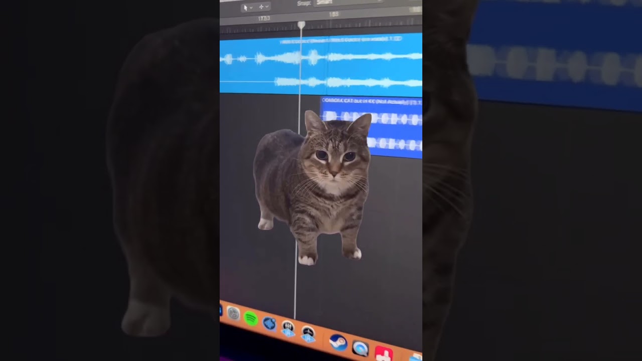 hey witch doctor, give us the magic word. 