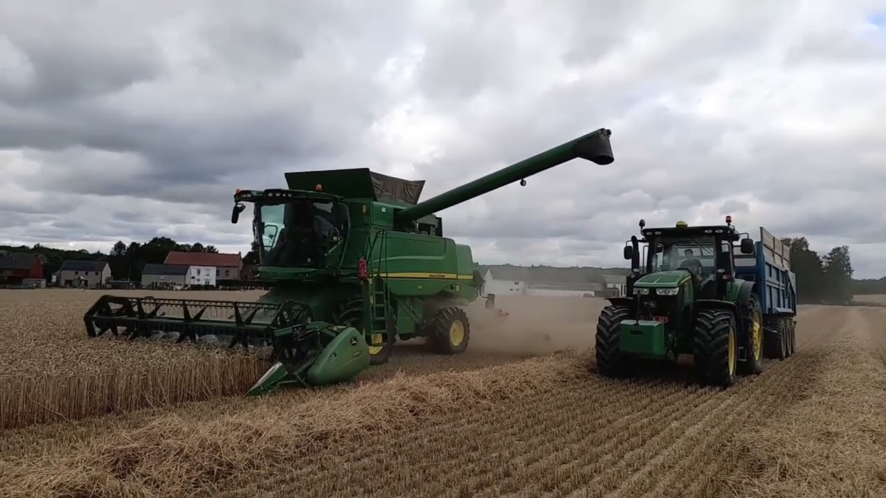 Moisson 2022 : moisson du froment chez Quentin et Stéphane. - YouTube