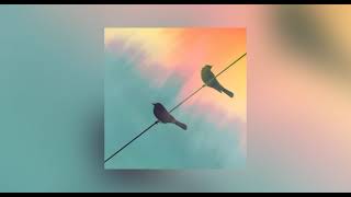 Two Birds but it's Muffled/Underwater