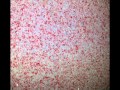 Empresa que faz pintura com areia colorida quartzo