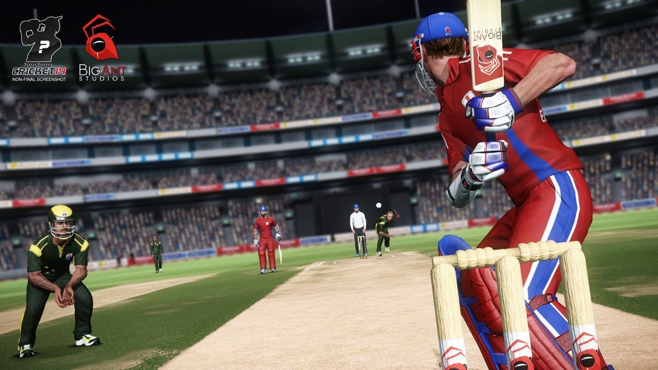 cricket video game