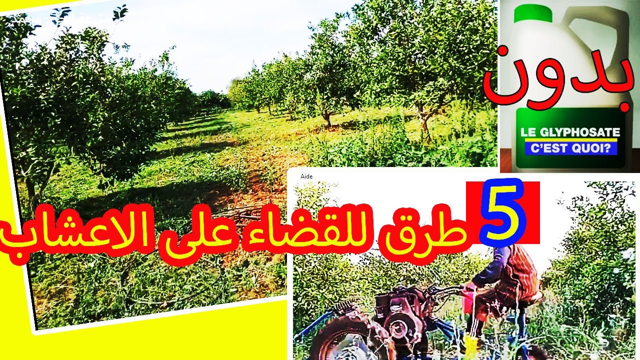 حلول عملية ومجربة للقضاء على الاعشاب الضارة باقل تكلفة دون استعمال المبيدات