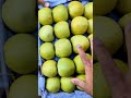 🍎🥝🍎 Aaj ka colorful maza: Apple, Kiwi aur Anar! Sab juicy aur fresh 😍 #eating #fruit #shortsvideo
