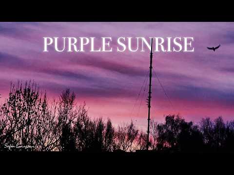 Today is brought to you by this Sunrise||Purple Sunrise||Calming Morning @SofiaEurasien #sunrise
