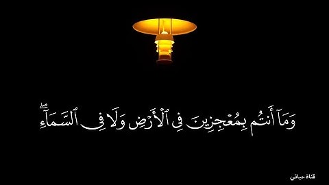 قل سيروا في الأرض فأنظـروا كيف بدأ الخلق ❤️حالات واتس اب دينيه❤️اسلام صبحي من سورة العنكبوت ❤️