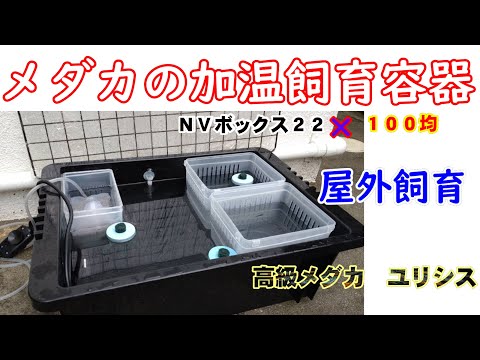 メダカの加温飼育容器】を作りました - YouTube