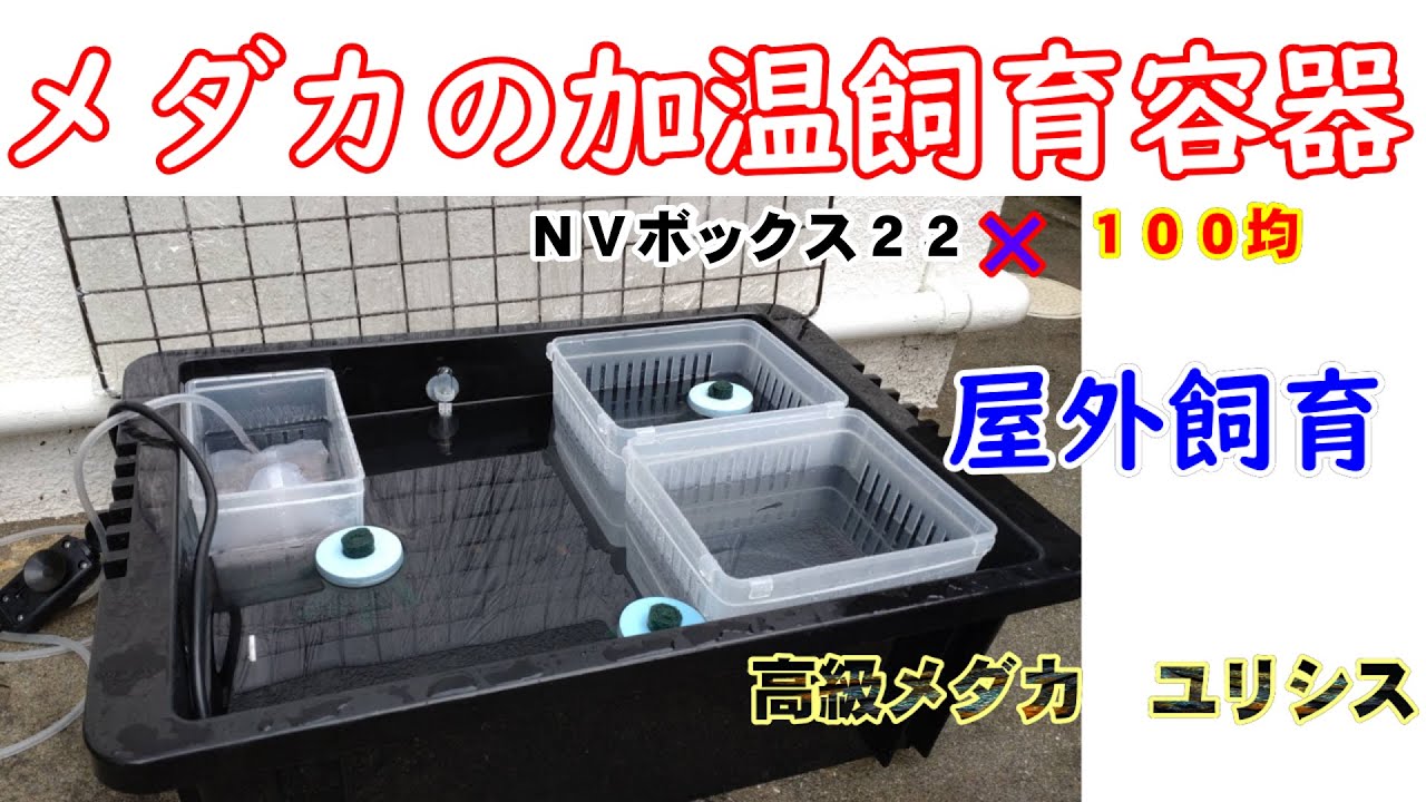 メダカの加温飼育容器】を作りました - YouTube