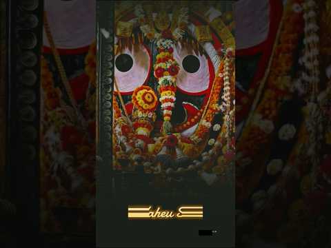 Odia Bhajan Status video 🙏🥰#shortvideo #song #viralvideo #subcribe