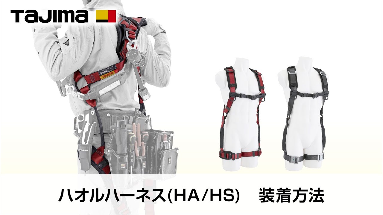 D443 未使用 SEG ハオル ハーネスセット HA フリーサイズ 胴ベルト 