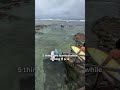 Bts from a tear-shaped island in the Philippines.