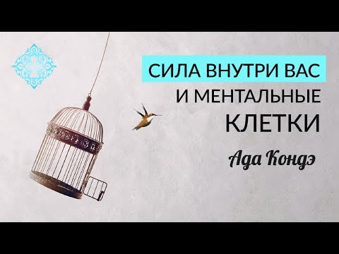 Видео: На клетките на предния рог?