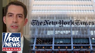 The Five calls out NY Times for caving to the left-wing mob