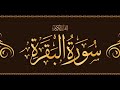 Surah Baqarah Quick Recitation Mishary Rashid Alafasy