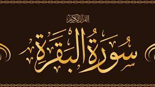 Surah Baqarah Quick Recitation Mishary Rashid Alafasy