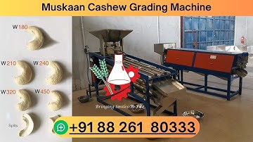Muskaan cashew grading machine | Efficient Cashew Nut Size Sorting Technology