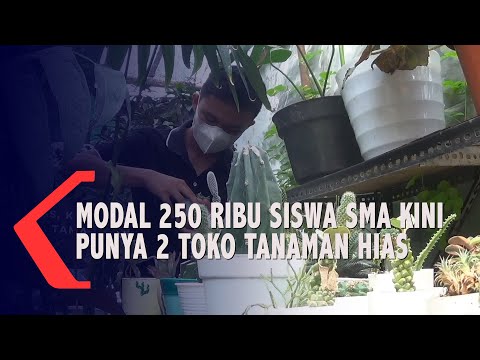 Video: Rencana bisnis pusat rekreasi: contoh dengan perhitungan, fitur, dan rekomendasi