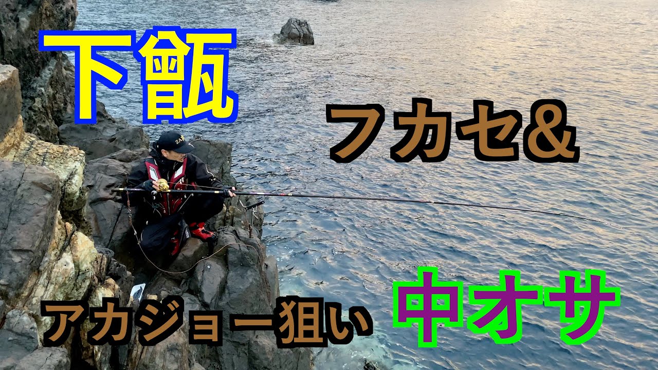 『甑』4月以来の甑でクロの顔を拝んできました！