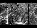 Decomposition of entrails  abnormality instrumental edition full album