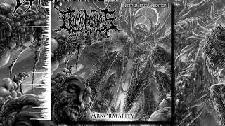 Decomposition Of Entrails — Abnormality (Instrumental Edition)