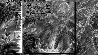 Decomposition Of Entrails - Abnormality (Instrumental Edition) (Full Album)