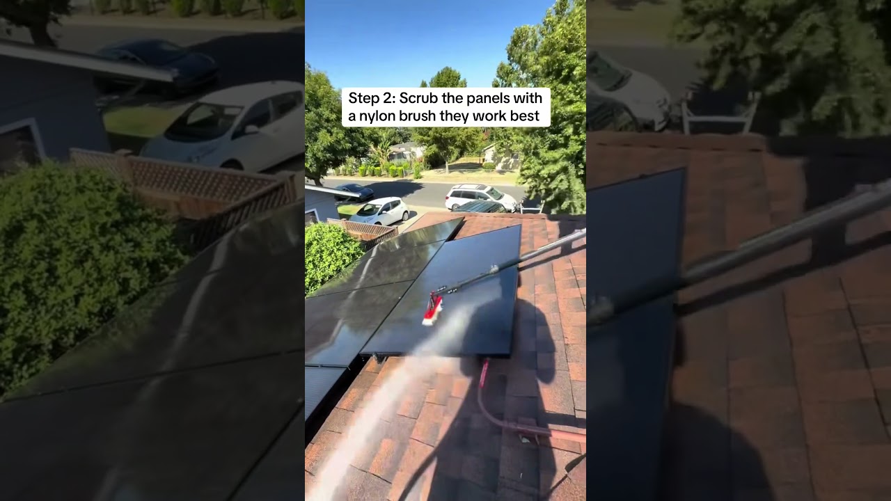 How to clean solar panels like a professional. 