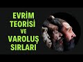 Evrim Teorisi ve Varoluş Sırları / Caner Taslaman / Ergi Deniz Özsoy / Yılmaz Selim Erdal