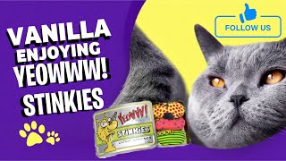 Cat Goes Crazy for This Catnip! 🐱 Best Catnip Ever!”