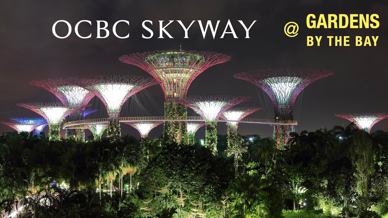 OCBC Skyway at Gardens By The Bay || Coolest Attraction in Singapore ||