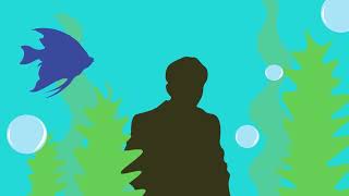 The Graduate  1967 Animated Title Sequence