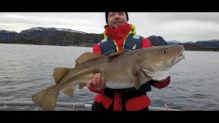 Fiske Trøndelagskysten Einvika I Flatanger. Mars 2026
