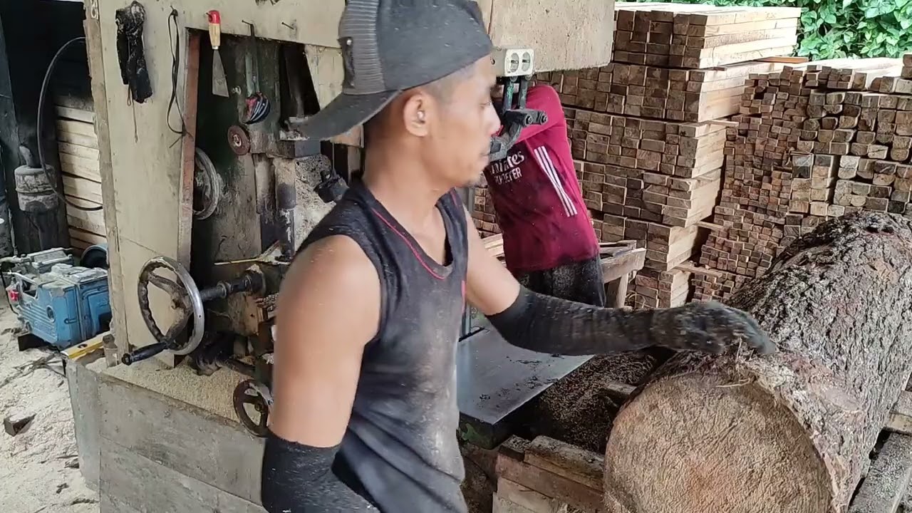 Proses pembuatan balken kayu pinus