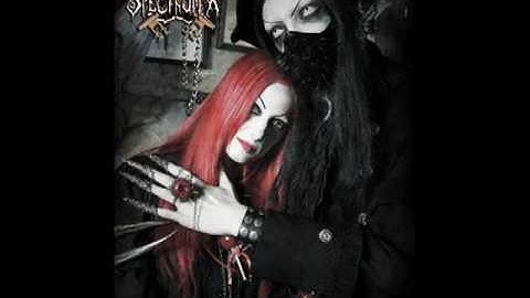 videoplayback-ip=0.0.0.0_8.flv